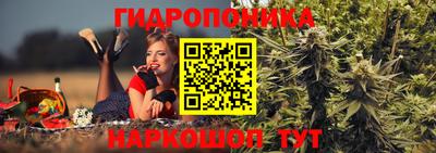 эйфоретик Кандалакша