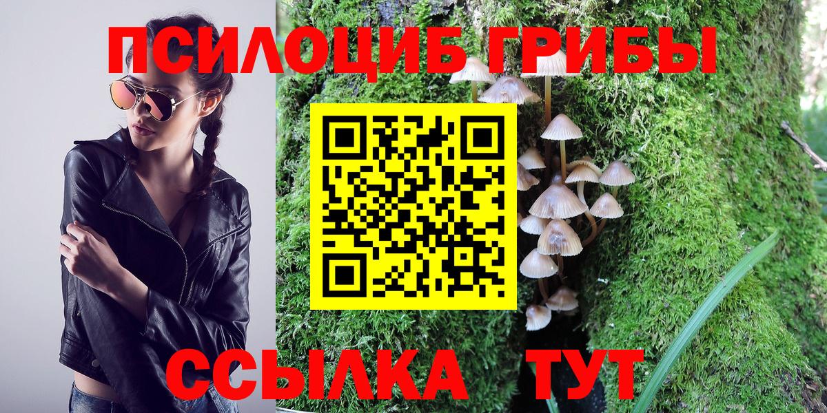 Галлюциногенные грибы Psilocybe Чебоксары